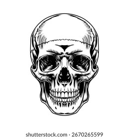 Diseño de Arte vectorial de cráneo Plantilla en blanco y negro 