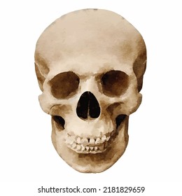 Skull-Vektorkunst einzeln auf weißem Hintergrund С Raniumhandgezeichnet Piraten-Stil Scary Halloween Art für Grußkartenlogo oder Design