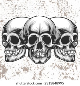 Skull Vector Art, skeleton head vector Set