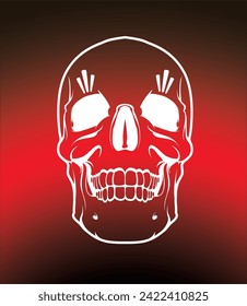 Skull vector artwork on Shutter Stock: vibrant, macabre illustrations capturing the essence of human skulls, perfect for Halloween designs and edgy graphics