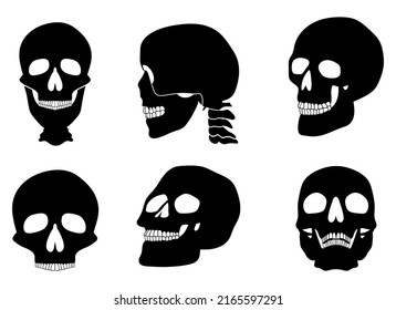Skull vector design illustration isolated on white background
