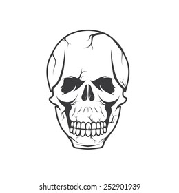 skull vector design template