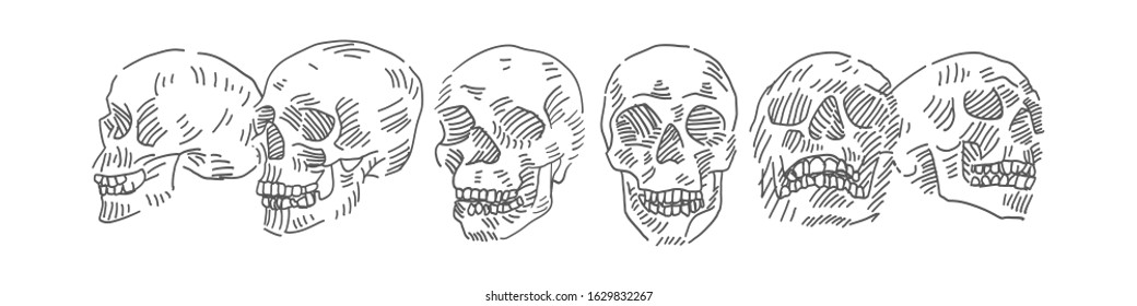 Skull vector doodle in different poses. Vector doodle set