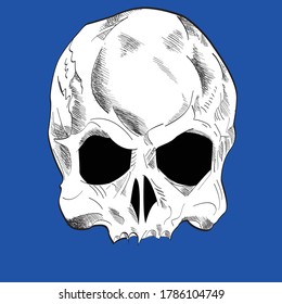 Skull vector drawing isolated on blue for t-shirts or posters