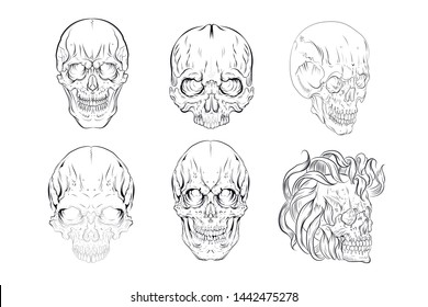 skull vector graphics Color illustrations eps 10 bones pirates smoke 