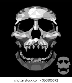 Skull. Vector gray skull on a black background.
