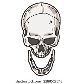 Skull vector for halloween design. Skeleton head or bone brutal skull