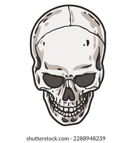 Skull vector for halloween design. Skeleton head or bone brutal skull