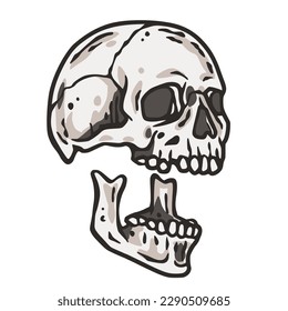 Skull vector for halloween design. Skeleton head or bone brutal skull