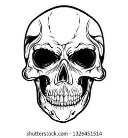 Skull Vector Head  Face