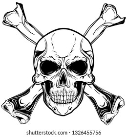 Skull Vector Head Face and Bones