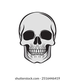 Skull Vector, Human Skull Vector , Skull illustration, Skull Cartoon Vector.