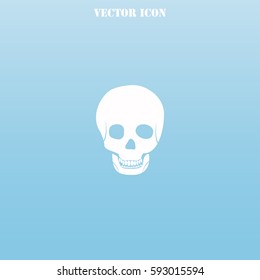 Skull vector  icon.