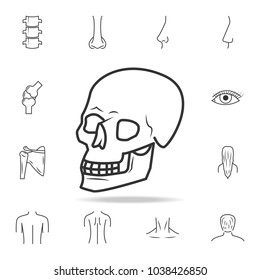 Skull vector icon. Detailed set of human body part icons. Premium quality graphic design. One of the collection icons for websites, web design, mobile app on white background