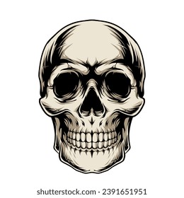 Skull Vector Illustartion for logo vintage