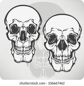 Skull, vector illustration.