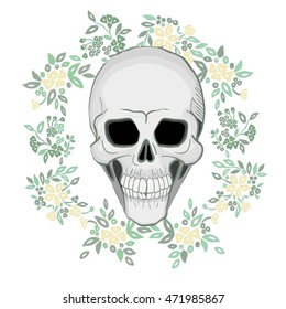 skull - vector illustration