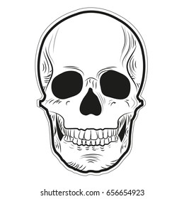 Skull, vector illustration