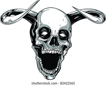 Skull Vector Illustration