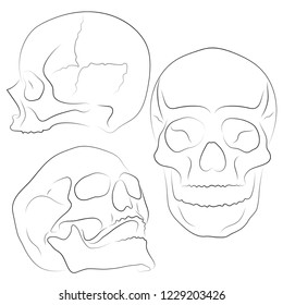 Skull Vector illustration, Collection Of Hand Drawn Skulls, Hard Core Skull Vector Art. Sketch Style