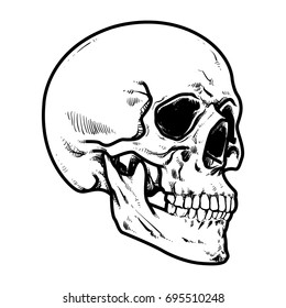 Skull Vector illustration, Collection Of Hand Drawn Skull, Hard Core Skull Vector Art