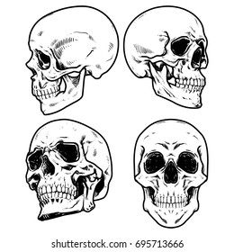 Skull Vector illustration  Collection Of Hand Drawn Skulls  Hard Core Skull Vector Art