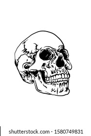 Skull vector illustration for design work