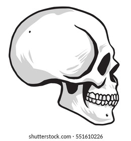 Skull Vector illustration Drawing Sideview Icon Design