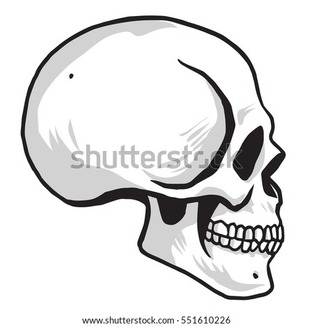 Skull Vector illustration Drawing Sideview Icon Design