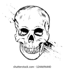 Skull. Vector illustration for greeting card or poster, print on clothes.