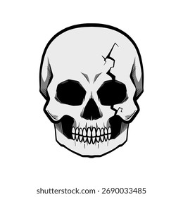 skull vector illustration, Halloween illustration	