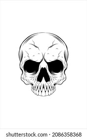 Skull vector illustration hand drawing