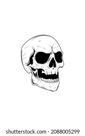 Skull vector illustration hand drawing