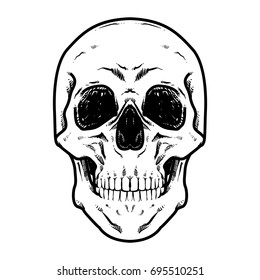 Skull Vector illustration, Hard Core Skull Vector Art, Collection Of Hand Drawn Skull