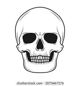 Skull vector illustration. Human head skeleton icon.
