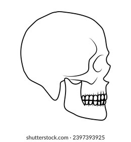 Skull vector illustration. Human head skeleton icon.