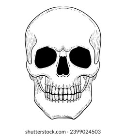 Skull vector illustration. Human head skeleton icon.