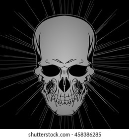 Skull. Vector illustration of human skull in star rays.