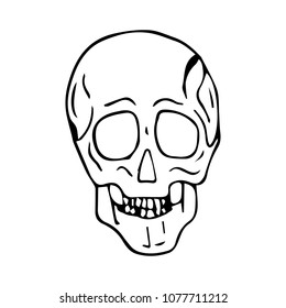 Skull Vector Illustration Ink Hand Drawn Stock Vector (Royalty Free ...