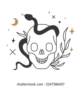 Skull vector illustration isolated on white background. Alchemy, spirituality, occultism, chemistry, magic symbol