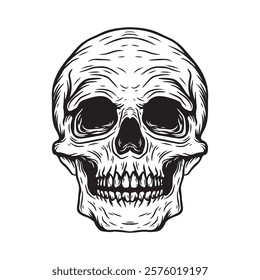 Skull vector illustration isolated on white background. Hand drawn sketch.	