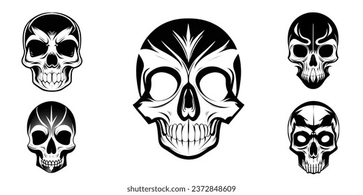 Skull Vector illustration set Anatomically