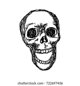 skull vector illustration sketch hand drawn with black lines, isolated on white background