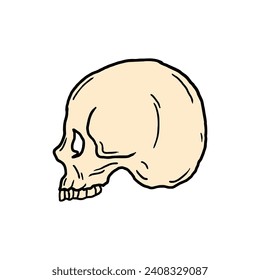 skull vector illustration template design