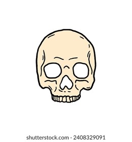 skull vector illustration template design