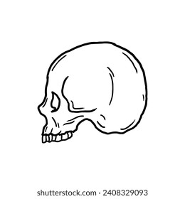 skull vector illustration template design