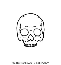 skull vector illustration template design