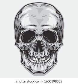 skull vector logo and illustration