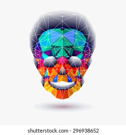 Skull. Vector polygonal illustration.