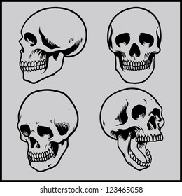 Skull vector set